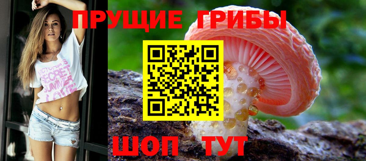 Галлюциногенные грибы Magic Shrooms Ангарск